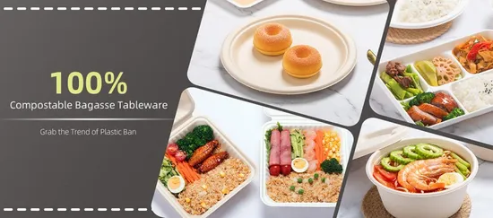 Retangular Take Away Embalagem Plástica Lancheira 1 Compartimentos Descarte Prato De Alimentos